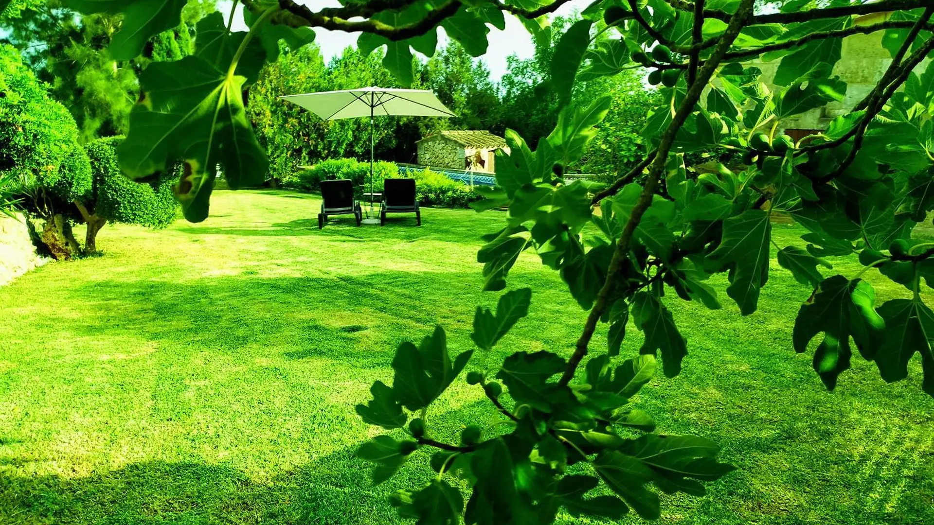 Ca Na Maria Villa Manacor