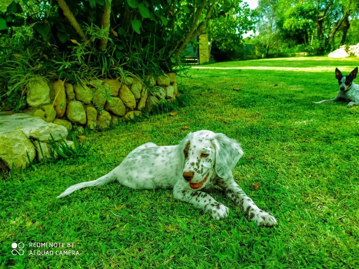 Ca Na Maria Villa Manacor  Spain